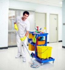 The Effectiveness Of Eco-Friendly Cleaning